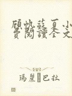 顾帆苏夏小说免费阅读全文封面