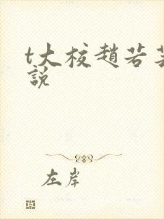 t大校赵若芸小说
