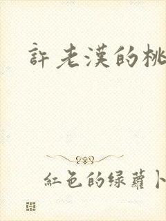 许老汉的桃花运