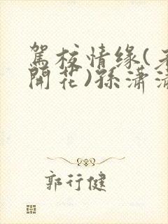 驾校情缘(老树开花)孙潇潇第一次趣笔阁封面