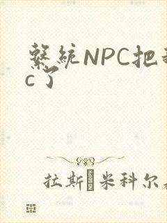 系统NPC把我c了