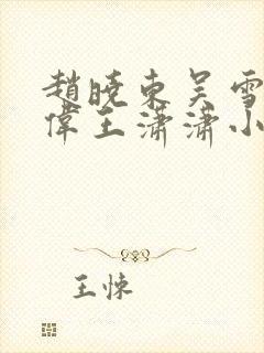 赵晓东吴雪晴郑伟王潇潇小说