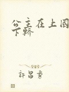 公主在上国师请下轿封面