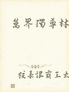 万界独尊林枫