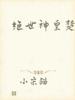 绝世神皇楚风封面