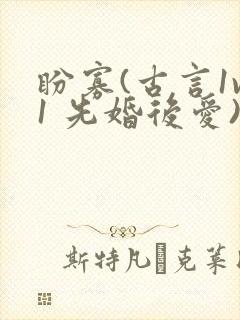 盼寡(古言1v1 先婚后爱)