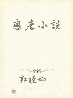 恋老小说