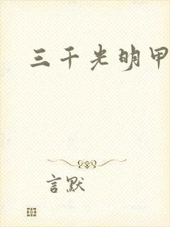 三千光明甲
