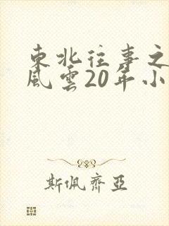 东北往事之黑道风云20年小说
