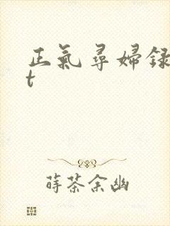 正气寻妇录txt