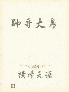 帅哥大鸟