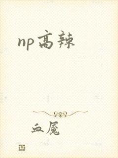 np高辣