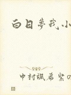 白日梦我小说
