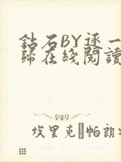 钻石BY逐一而归在线阅读