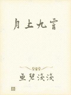 月上九霄封面