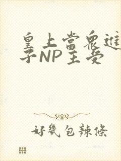 皇上当众进入太子NP主受封面