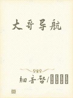 大哥导航