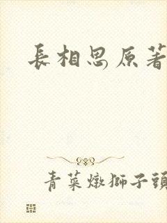 长相思原著小说