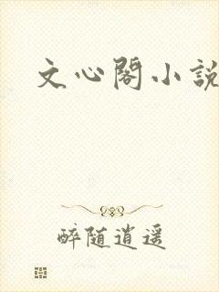 文心阁小说封面