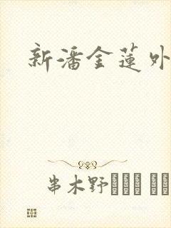 新潘金莲外传
