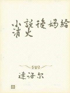 小说后妈给我消消火