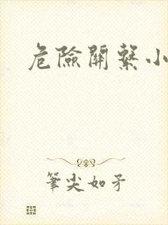 危险关系小说