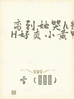 脔到她哭h粗话H好爽小黄鸭视频