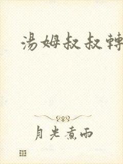 汤姆叔叔转接口