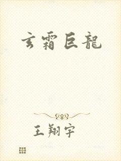 玄霜巨龙封面