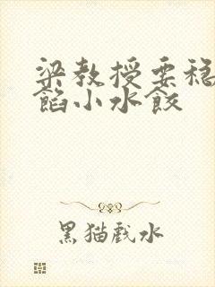 梁教授要稳住肉馅小水饺封面