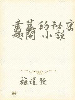 黄蓉的秘密 笔趣阁 小说封面