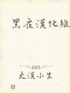 黑夜汉化组