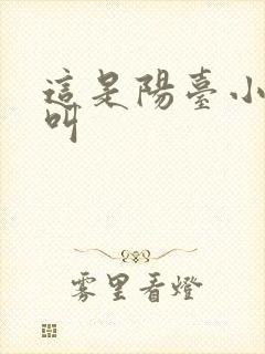 这是阳台小点声叫封面