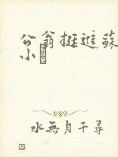公翁挺进苏玥的小泬