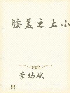 膝盖之上小说