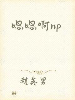 嗯嗯啊np封面