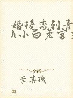 婚后脔到青梅哭h小白兔宫交h封面