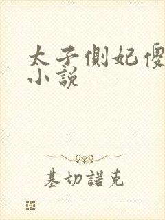 太子侧妃傻乎乎小说