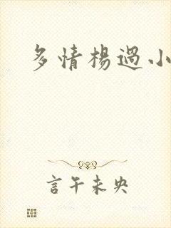 多情杨过小说