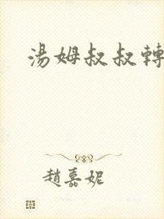汤姆叔叔转接口