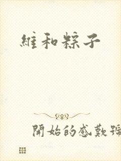 维和粽子
