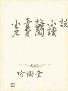 小青梅小说全文免费阅读封面