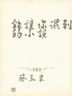 能让你湿到不行的小说