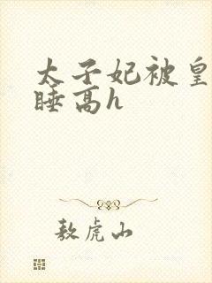 太子妃被皇上强睡高h