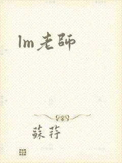 lm老师