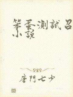 笨蛋测试召唤兽小说