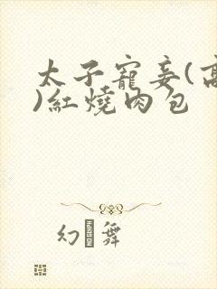 太子宠妾(高肉)红烧肉包