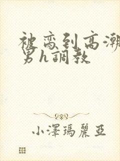 被脔到高潮的直男h调教
