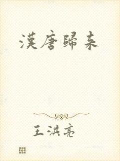 汉唐归来