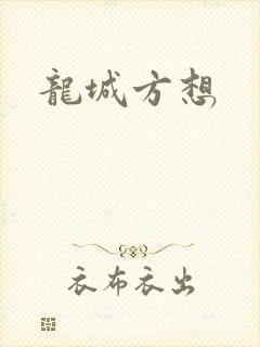 龙城方想封面